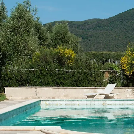 Alojamento de Turismo Rural Tra Gli Ulivi, Chiappini Winery *