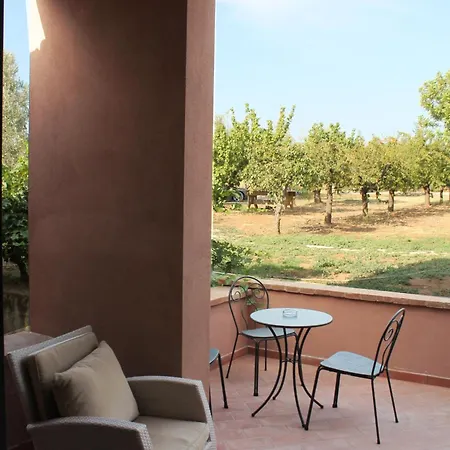 Tra Gli Ulivi, Chiappini Winery * Bolgheri