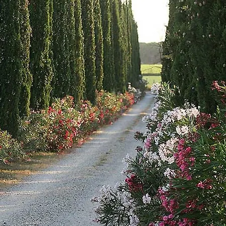 Alojamento de Turismo Rural Tra Gli Ulivi, Chiappini Winery Bolgheri