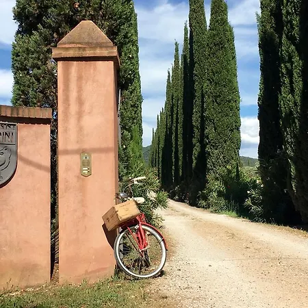 Tra Gli Ulivi, Chiappini Winery
