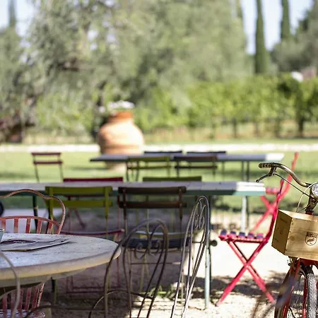 Tra Gli Ulivi, Chiappini Winery Bolgheri