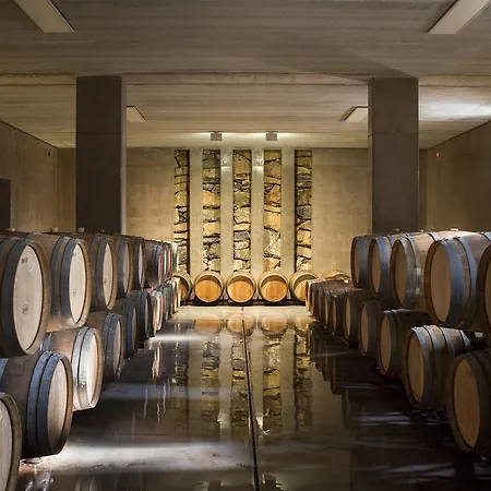 Alojamento de Turismo Rural Tra Gli Ulivi, Chiappini Winery *