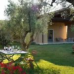 Tra Gli Ulivi, Chiappini Winery * Bolgheri