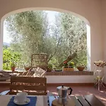 Tra Gli Ulivi, Chiappini Winery Bolgheri