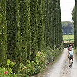 Tra Gli Ulivi, Chiappini Winery *