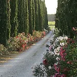 Vakantieboerderij Tra Gli Ulivi, Chiappini Winery Bolgheri