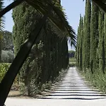 Tra Gli Ulivi, Chiappini Winery * Bolgheri