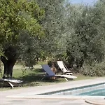 Tra Gli Ulivi, Chiappini Winery *