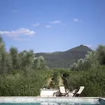 Tra Gli Ulivi, Chiappini Winery * Bolgheri