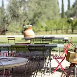 Tra Gli Ulivi, Chiappini Winery Bolgheri