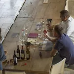 Tra Gli Ulivi, Chiappini Winery * Bolgheri