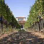 Vakantieboerderij Tra Gli Ulivi, Chiappini Winery