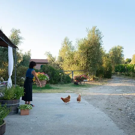 Séjour à la ferme Tra Gli Ulivi, Chiappini Winery Bolgheri