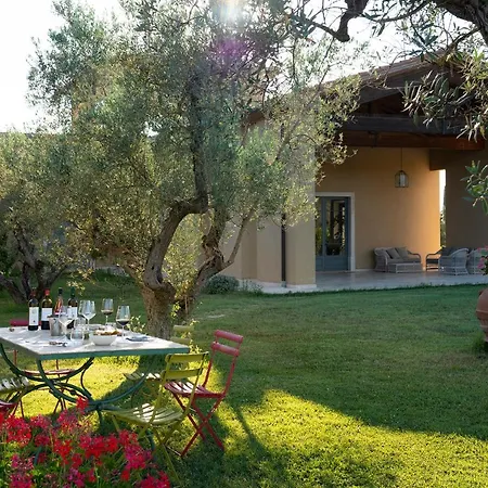Tra Gli Ulivi, Chiappini Winery * Bolgheri