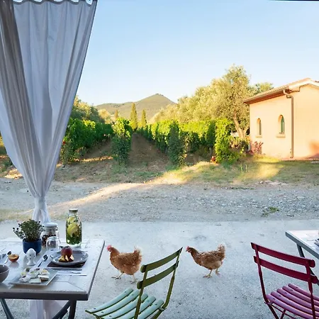 Tra Gli Ulivi, Chiappini Winery Séjour à la ferme *
