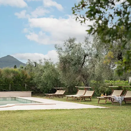 Séjour à la ferme Tra Gli Ulivi, Chiappini Winery *