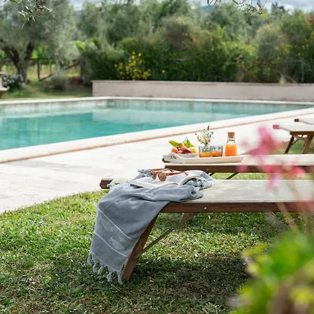 Tra Gli Ulivi, Chiappini Winery Séjour à la ferme Bolgheri