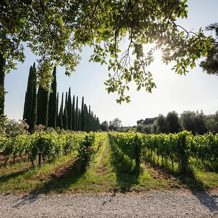 Séjour à la ferme Tra Gli Ulivi, Chiappini Winery Bolgheri