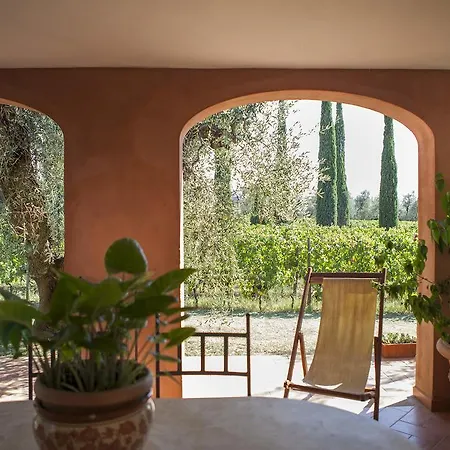 Tra Gli Ulivi, Chiappini Winery Bolgheri