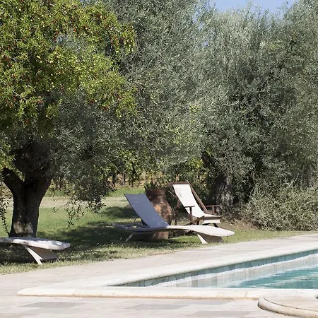 Tra Gli Ulivi, Chiappini Winery *