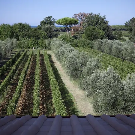 Tra Gli Ulivi, Chiappini Winery * Bolgheri