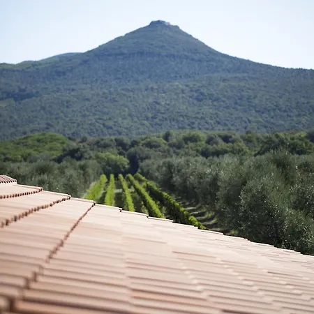 Farma Agriturismo Tra Gli Ulivi, Chiappini Winery