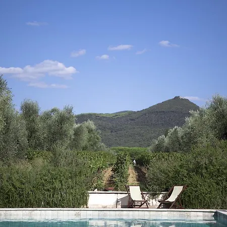 Tra Gli Ulivi, Chiappini Winery * Bolgheri