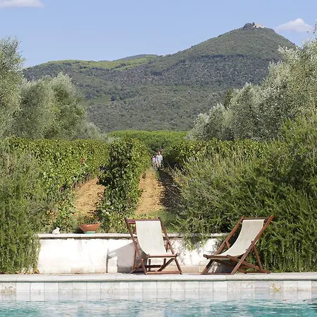 Tra Gli Ulivi, Chiappini Winery