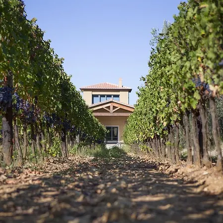 Séjour à la ferme Tra Gli Ulivi, Chiappini Winery