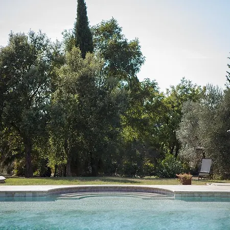 Tra Gli Ulivi, Chiappini Winery Séjour à la ferme Bolgheri