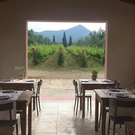 Tra Gli Ulivi, Chiappini Winery *