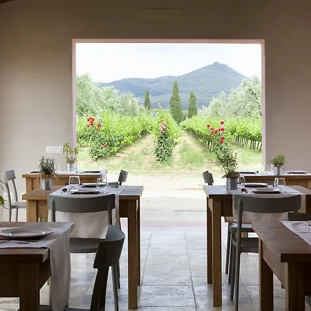 Séjour à la ferme Tra Gli Ulivi, Chiappini Winery *